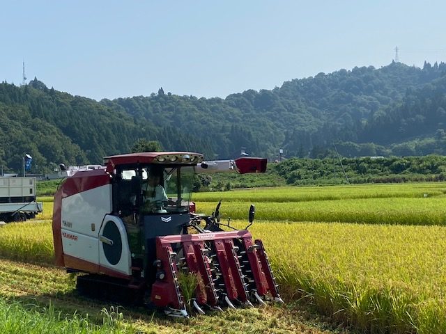 令和7年8月早生品種の稲刈り